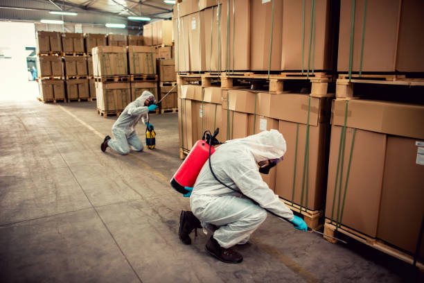 Best Residential Pest Control  in Cedar Grove, FL