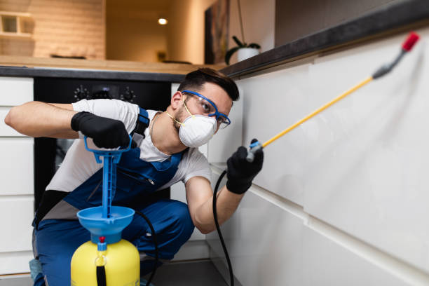 Best Commercial Pest Control Services  in Cedar Grove, FL
