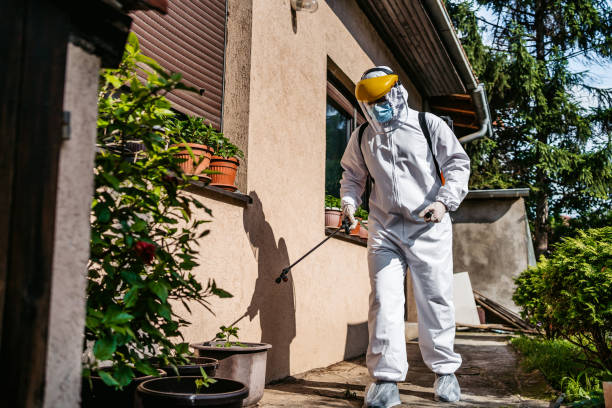 Best Commercial Pest Control Services  in Cedar Grove, FL
