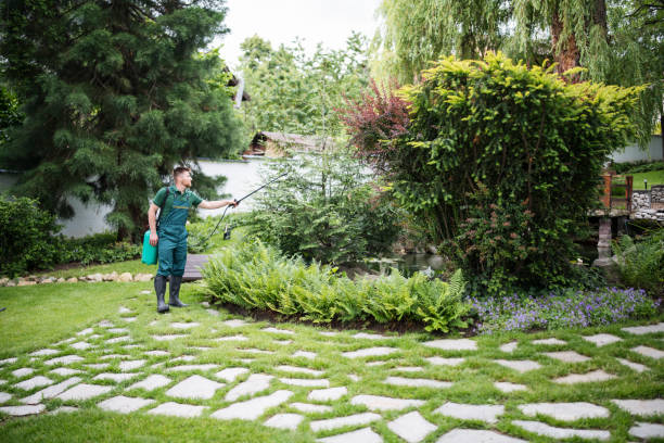 Best Pest Removal Services  in Cedar Grove, FL