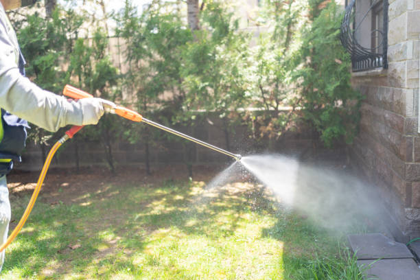 Professional Pest Control in Cedar Grove, FL