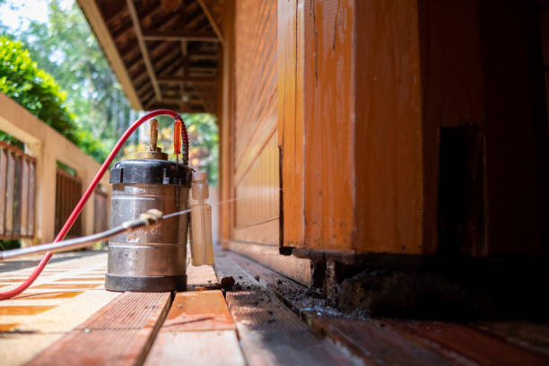 Best Pest Prevention Services  in Cedar Grove, FL