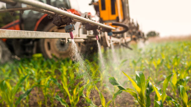 Best Pest Removal Services  in Cedar Grove, FL